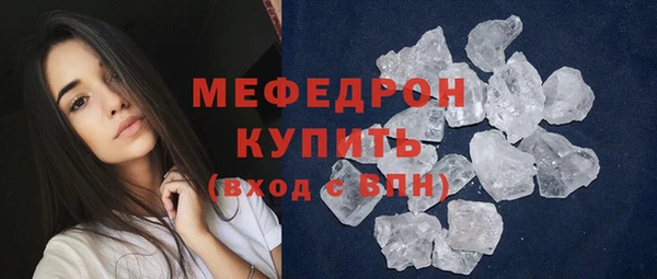 индика Тихвин