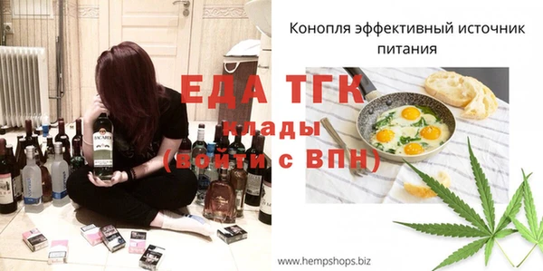 индика Тихвин