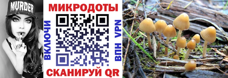Псилоцибиновые грибы прущие грибы дарнет шоп Ильский